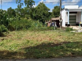 Bán đất trồng cây lâu năm có thổ cư một phần tại cà mau