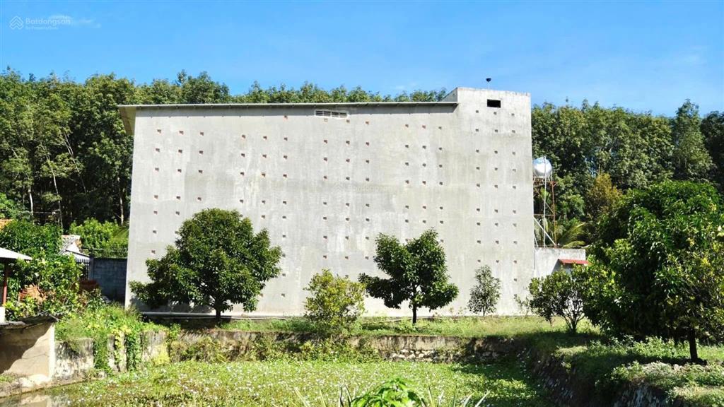2,8ha tân quan đồng nai  dòng tiền lợi nhuận 3 tỷ/năm