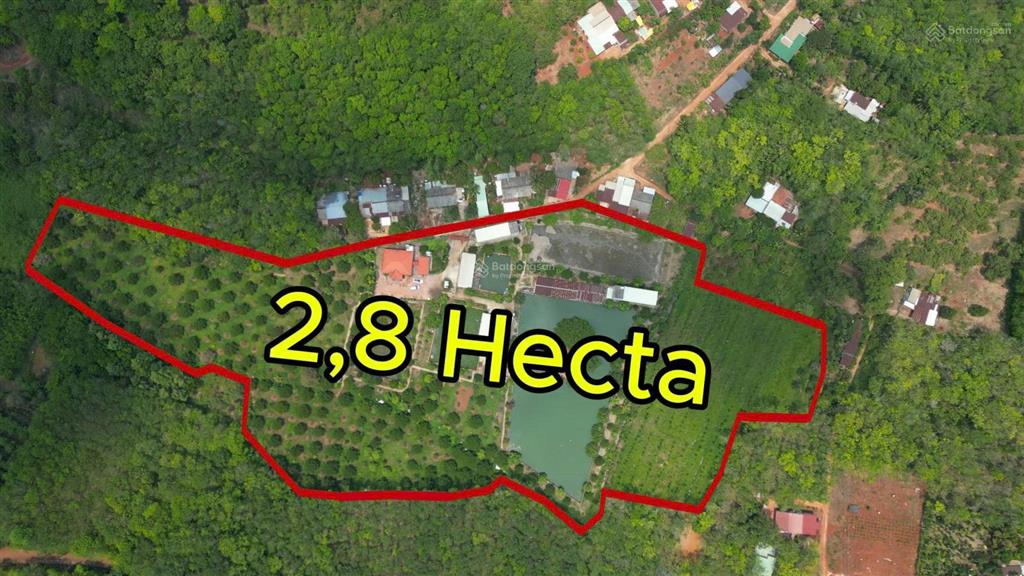 2,8ha tân quan đồng nai  dòng tiền lợi nhuận 3 tỷ/năm