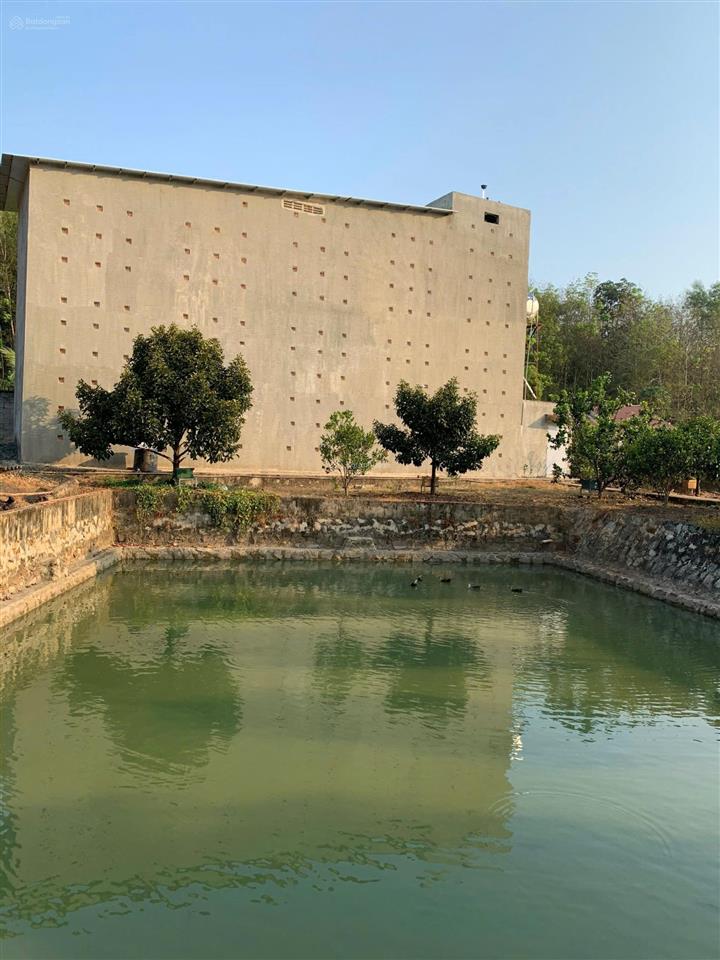2,8ha tân quan đồng nai  dòng tiền lợi nhuận 3 tỷ/năm