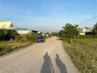 Chính chủ cần bán 8443m2 đất lúa, mặt tiền 60m