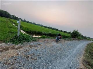 Bán đất 6184m2 tại đường láng the, tân thạnh tây, củ chi, 18,552 tỷ