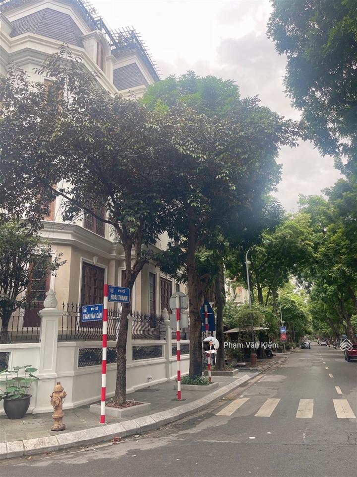 Biệt thự mỹ đình 2 view vườn hoa vỉa hè ô tô tránh kinh doanh đẳng cấp 62 tỷ