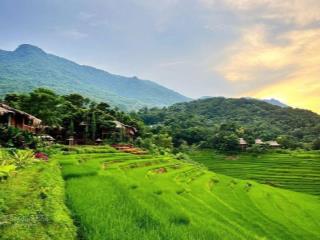 Cơ hội hiếm có khu đất du lịch sinh thái gần 5.000 m² tại pù luông (thanh hóa)