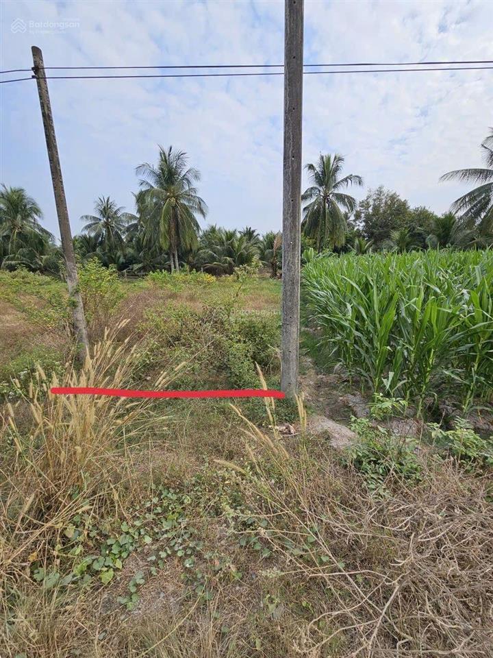 5x25m 124m2 (84m2 thổ cư) quá phù hợp cho 1 căn nhà cạnh kcn phước đông