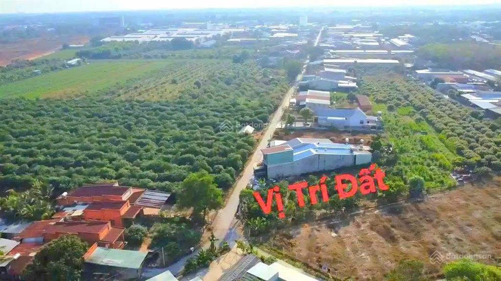 Đất trung tâm phường gia lộc chỉ 1,15 tỷ sát vách kcn
