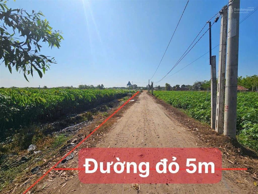 239tr 5x25 đất thổ cư, sổ hồng riêng.cầu khởi, dương minh châu ,tây ninh. chỉ với 239tr