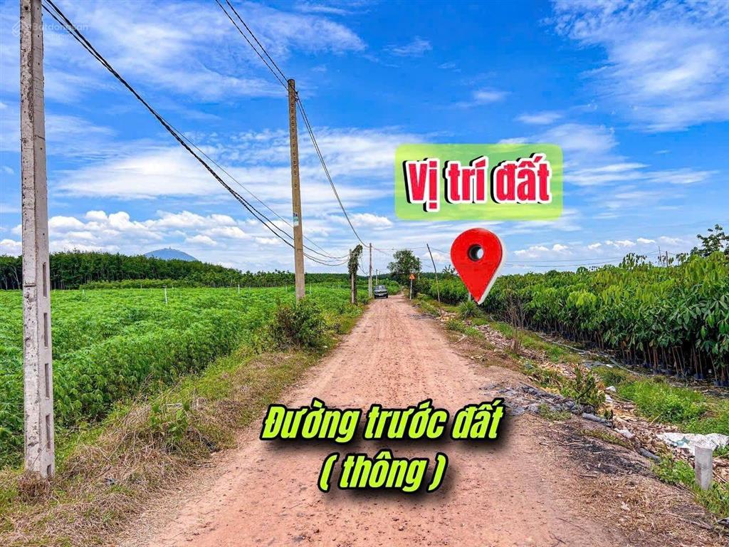 239tr 5x25 đất thổ cư, sổ hồng riêng.cầu khởi, dương minh châu ,tây ninh. chỉ với 239tr