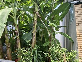 Đất thổ cư 52m2 kdc hiện hữu  tam đa, p. trường thạnh (q9 cũ)  sổ hồng riêng  giá chỉ 3 tỷ nhỉnh