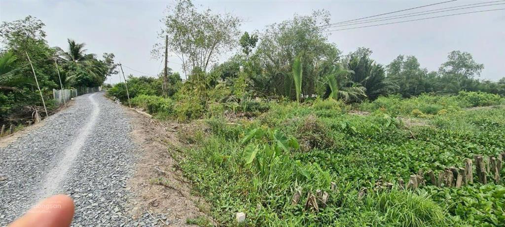 Bán đất trồng cây lâu năm tại ấp bà nghiệm, xã mỹ lạc, huyện thủ thừa, long an diện tích 973.4m2
