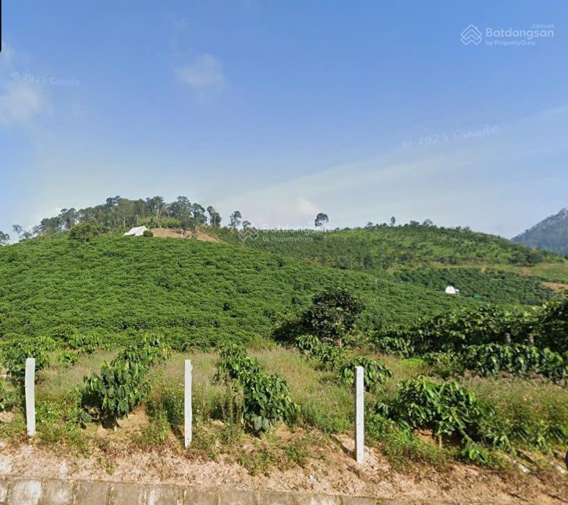 Bán đất xã tân văn lâm hà, lâm đồng | quỹ đất 2,3ha có 3.200m² đất ở, đường 3m, cơ hội đầu tư hiếm