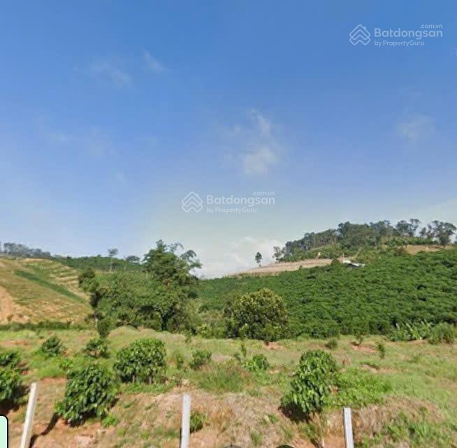 Bán đất xã tân văn lâm hà, lâm đồng | quỹ đất 2,3ha có 3.200m² đất ở, đường 3m, cơ hội đầu tư hiếm