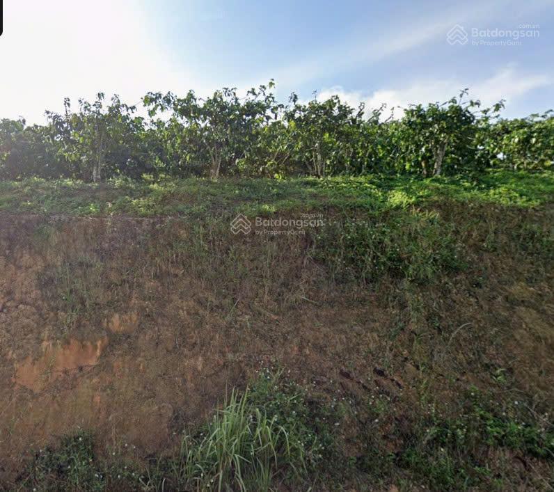 Bán đất xã tân văn lâm hà, lâm đồng | quỹ đất 2,3ha có 3.200m² đất ở, đường 3m, cơ hội đầu tư hiếm