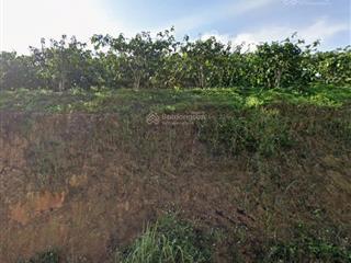 Bán đất xã tân văn lâm hà, lâm đồng | quỹ đất 2,3ha có 3.200m² đất ở, đường 3m, cơ hội đầu tư hiếm