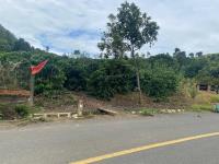 Bán đất xã tân văn, lâm hà, lâm đồng | 4.700m² có 1.800m² đất ở, ngang 29m, giá chỉ 7.44tr/m²