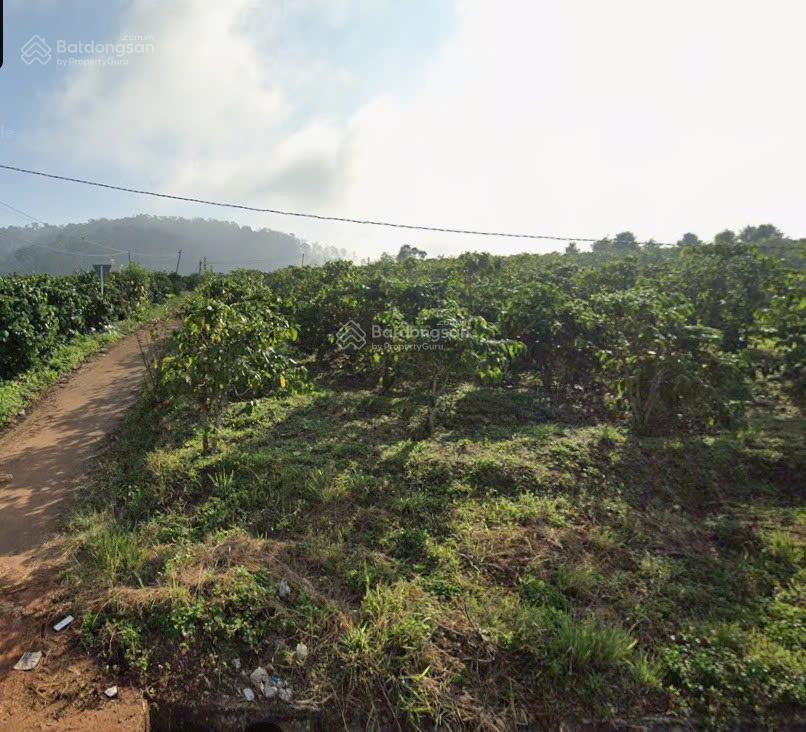 Bán đất xã tân văn, huyện lâm hà, lâm đồng | 9.347,1m² có 2.700m² đất ở, đường 3m, quỹ đất hiếm