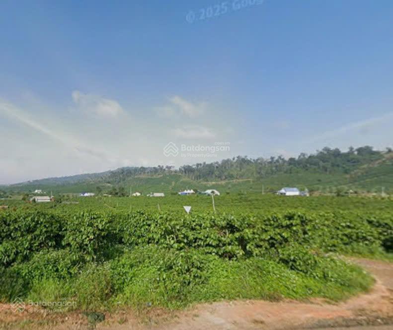 Bán đất xã tân văn, huyện lâm hà, lâm đồng | 9.347,1m² có 2.700m² đất ở, đường 3m, quỹ đất hiếm