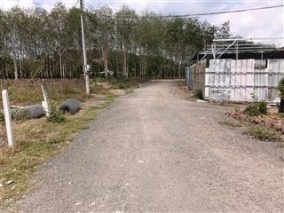 Bán đất đường an bình 34, phú giáo, bình dương ngang 6m nở hậu 7m