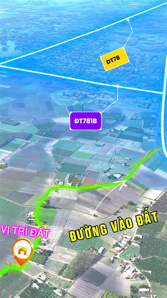 Bán đất tân hưng, tân châu, tây ninh  gần hồ dầu tiếng  ql