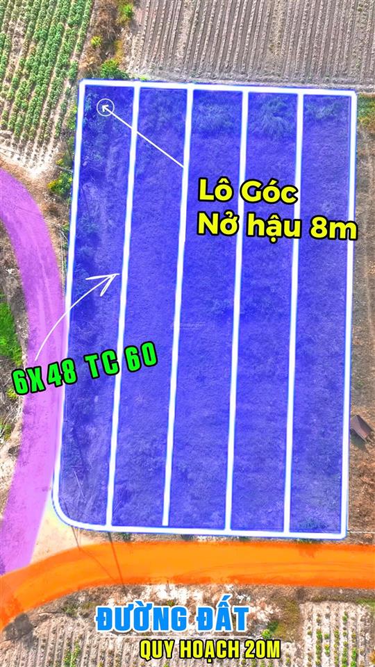 Bán đất tân hưng, tân châu, tây ninh  gần hồ dầu tiếng  ql