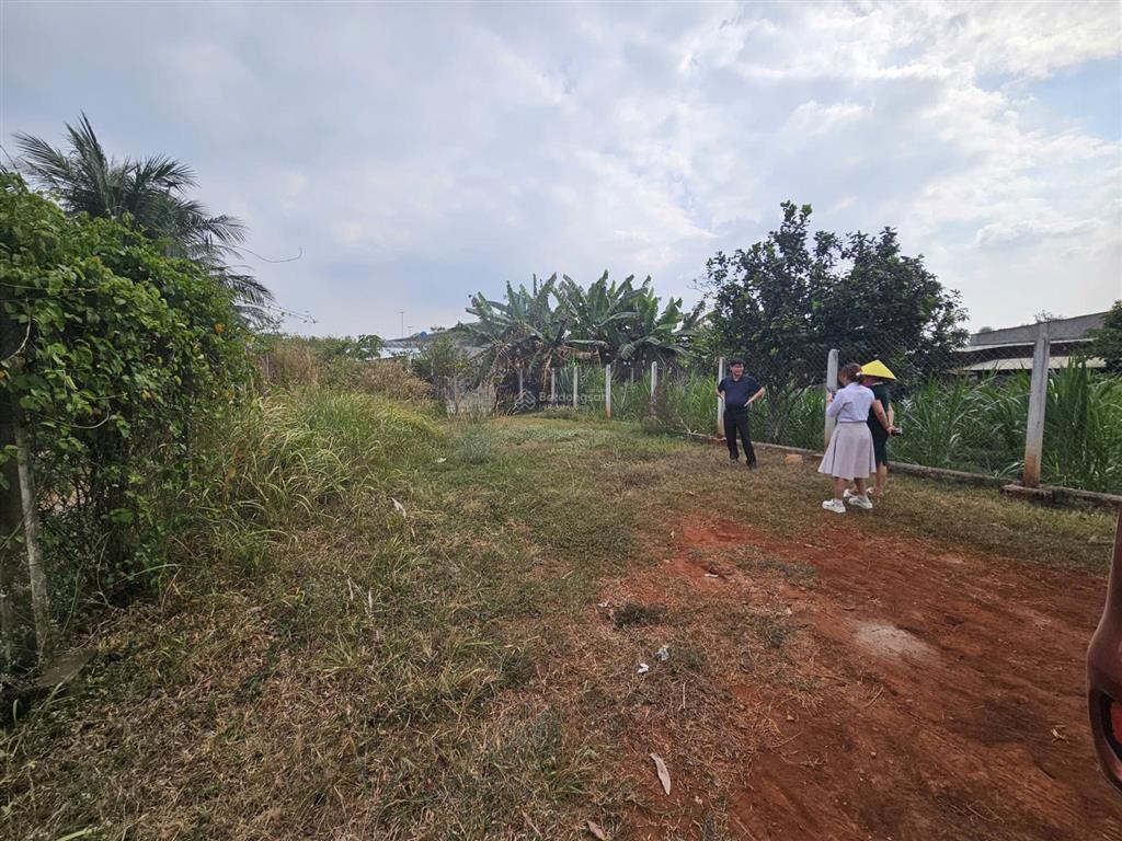 Bán lô đất ngang 20m gần ngã 3 bàu đồn  đã tách lô, tiềm năng xây trọ cao