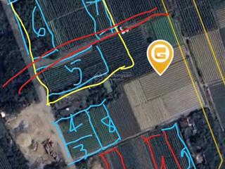 Đất đông anh hà nội mà chỉ 5 triệu/m2 nghe tưởng đùa nhưng là thật 100% chính chủ bán