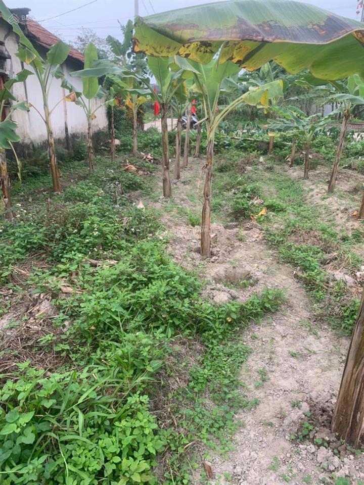 Tôi chính chủ bán đất xã kim long, 165m2, giá 890tr, tôi bán cắt lỗ vì cần tiền kinh doanh