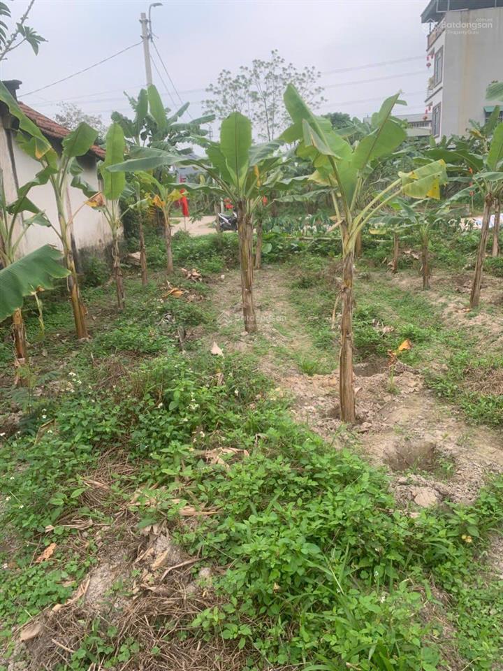 Tôi chính chủ bán đất xã kim long, 165m2, giá 890tr, tôi bán cắt lỗ vì cần tiền kinh doanh