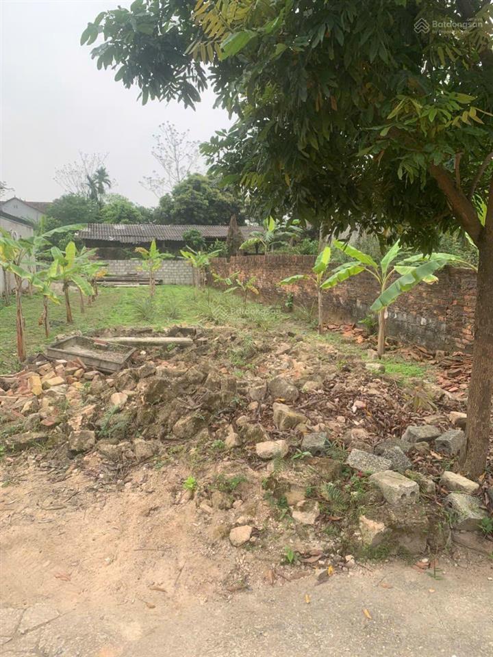 Tôi chính chủ bán đất xã kim long, 165m2, giá 890tr, tôi bán cắt lỗ vì cần tiền kinh doanh