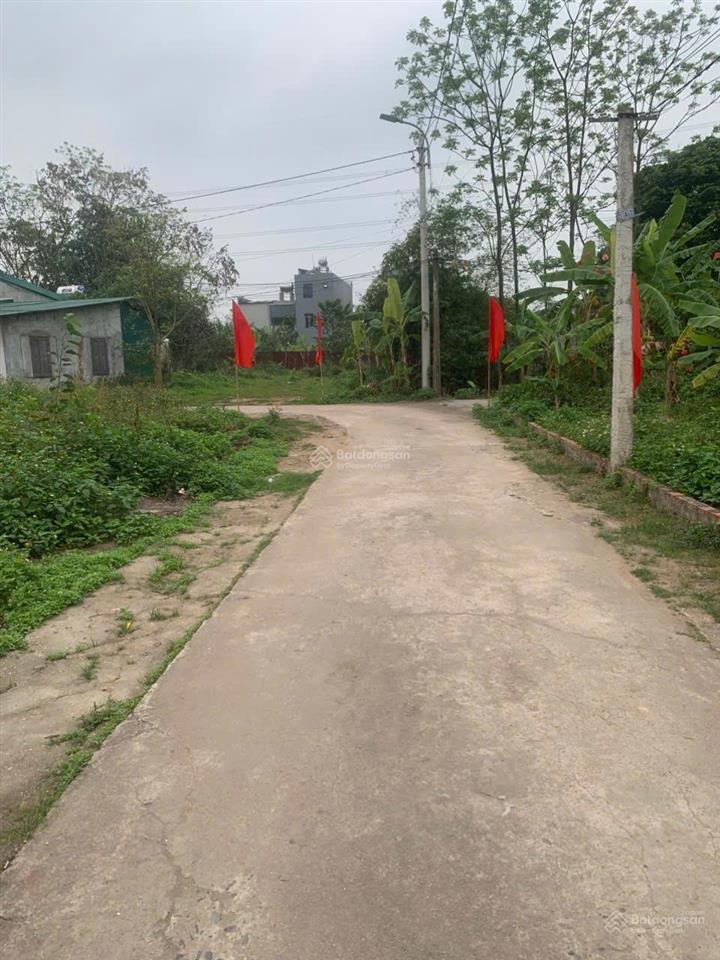 Tôi chính chủ bán đất xã kim long, 165m2, giá 890tr, tôi bán cắt lỗ vì cần tiền kinh doanh