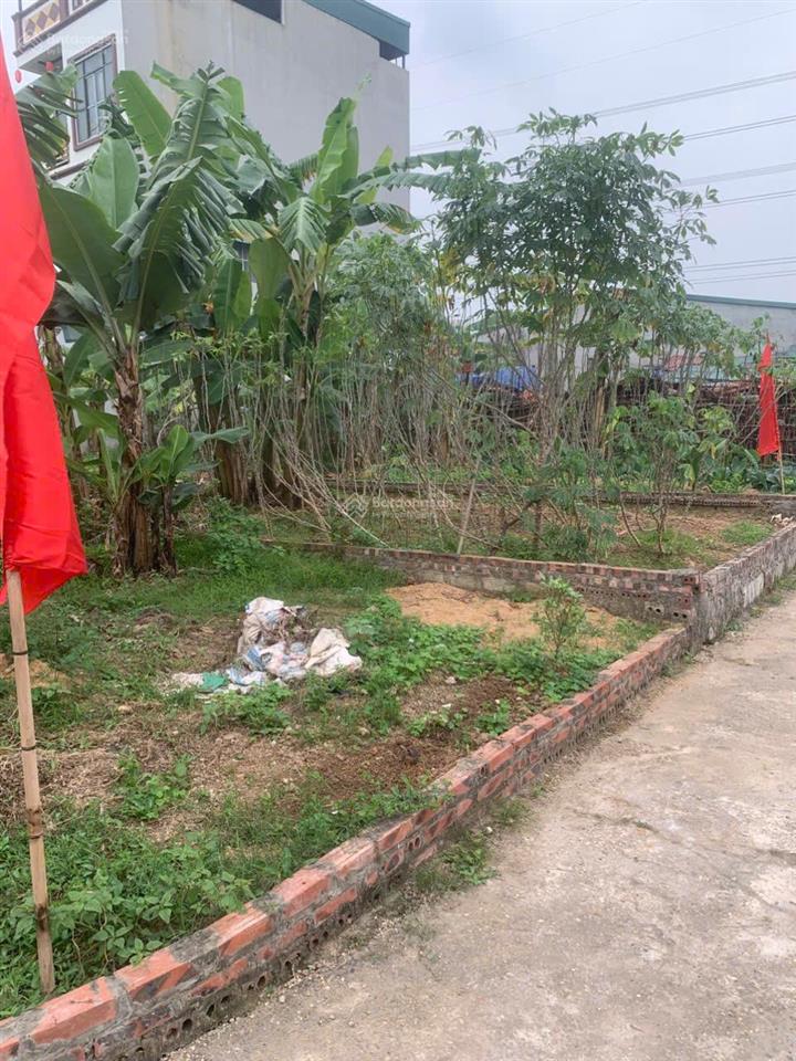 Tôi chính chủ bán đất xã kim long, 165m2, giá 890tr, tôi bán cắt lỗ vì cần tiền kinh doanh