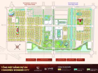 Bán nhà biệt thự đẹp tại vinhomes wonder city, 20 tỷ, 132 m²