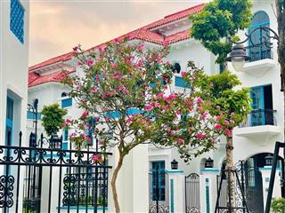 Sở hữu biệt thự đẳng cấp tại sun grand city feria hạ long