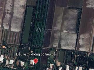 Bán đất vườn đang trồng mít, diện tích 8000m2 thuận lợi làm trang trại. đất có 12m mặt tiền