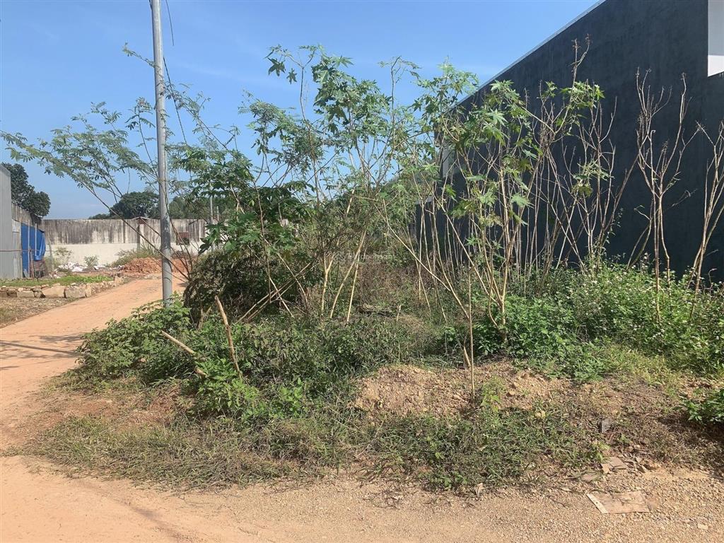 Lô góc mặt tiền cực hiếm  giá chưa tới 2 tỷ  vị trí trung tâm đà nẵng  gần chợ, trường học