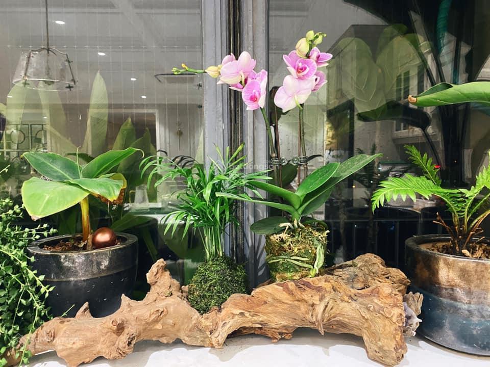 Bán biệt thự tây nam hồ linh đàm  hoàng mai. diện tích 188m2. vị trí cực đẹp hot nhất linh đàm