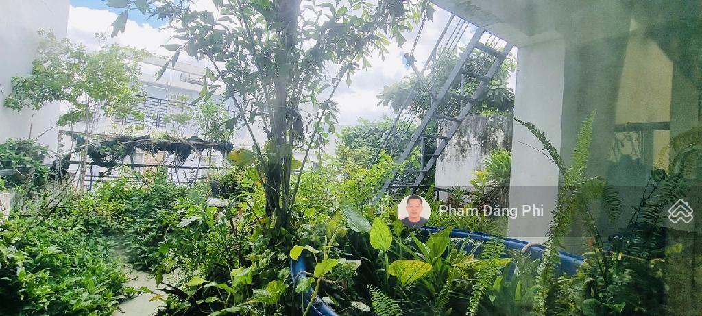 Chủ nhiệt bán giảm 3,3 tỷ  phú nhuận mà thông số đẹp rất hiếm nhà bán  ngang lớn 5m, nở hậu 5,8m,