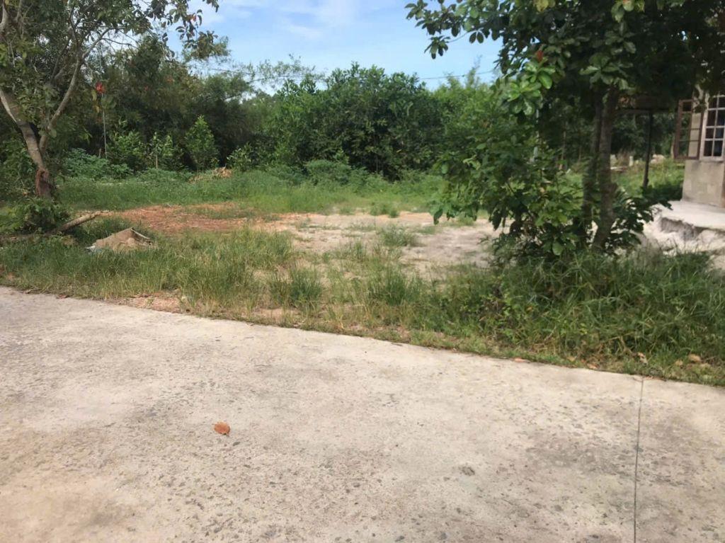 BÁN ĐẤT THỦY LƯƠNG – HỮU NGHĨA – HƯƠNG THỦY. GIÁ CHỈ 5xxTR/LÔ LH:0795745490.