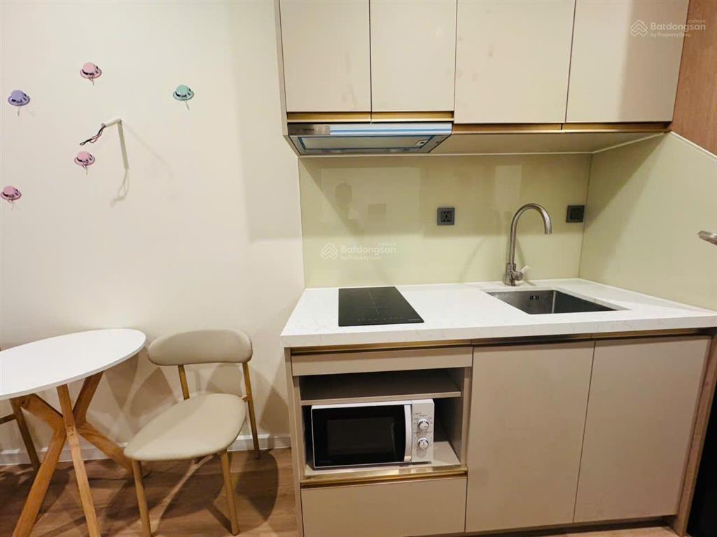 Quá rẻ view trường qte singapo đã có nội thất và khách thuê giá 1,550 bao 5% dt 29m2