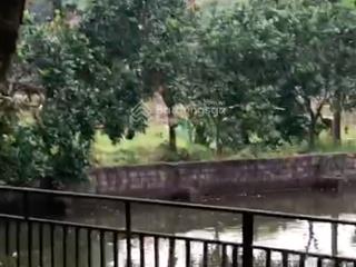 Bán trang trại 3160m² trần phú, chương mỹ, hà nội, giá 6,5 tỷ.  0867 313 ***