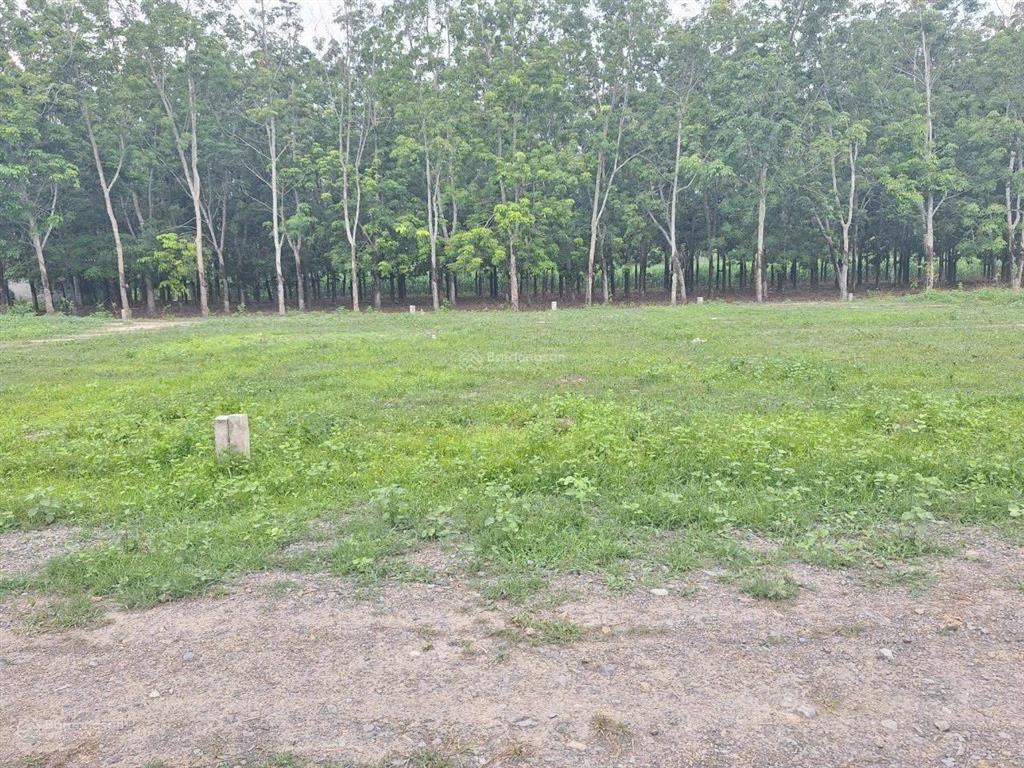 110m2 thổ cư ngay gần cổng kcn phước đông 3200ha. 5xx tr