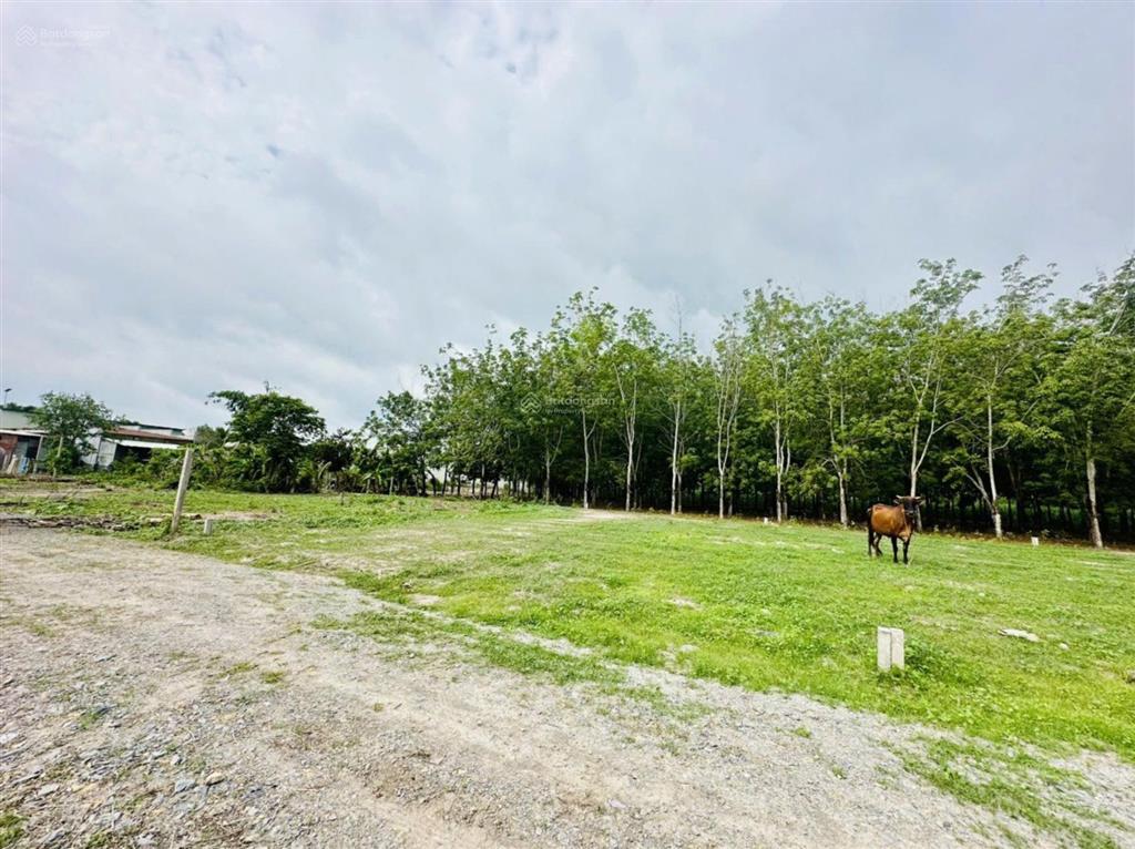 110m2 thổ cư ngay gần cổng kcn phước đông 3200ha. 5xx tr