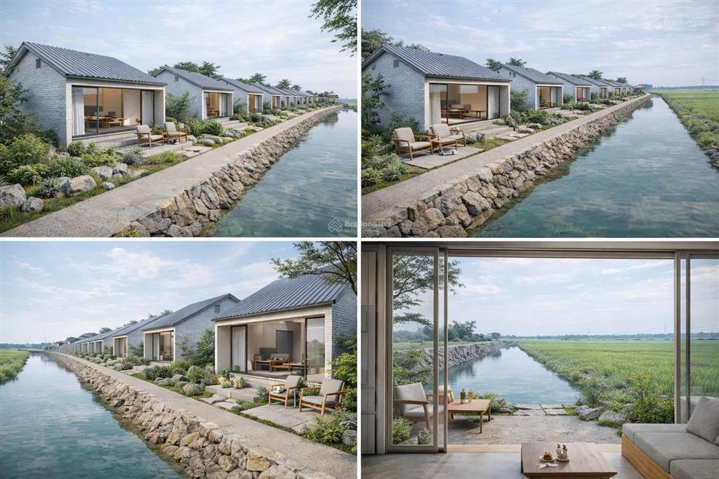 Đất nền 551m2 ở bình hiệp, sông rồ, kiến tường, long an, 3,5 tỷ chính chủ hàng hiếm