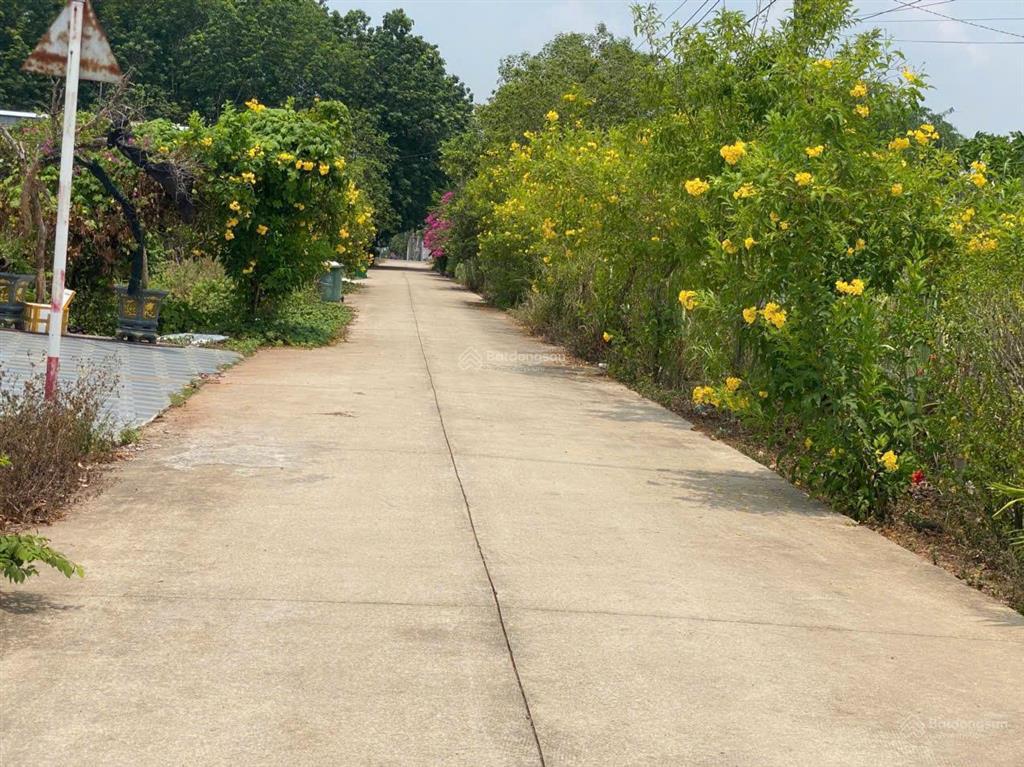 Cần bán lô đất vườn ngang 30x59m, 1760m² gần chợ an thái