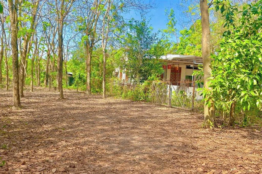 Cần bán lô đất vườn ngang 30x59m, 1760m² gần chợ an thái