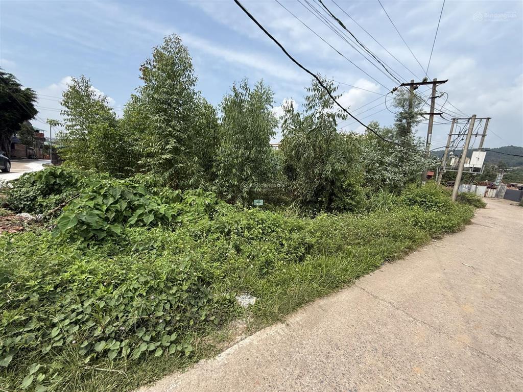 Bán đất lô góc, xã minh phú, sóc sơn, hà nội, chỉ với 7,699 tỷ. dt 705m2