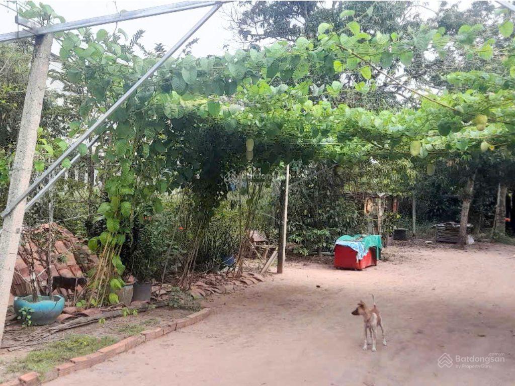 Bán đất 600m2 giá chỉ 4,5 tỷ tại đường 501, nhuận đức, củ chi, hồ chí minh