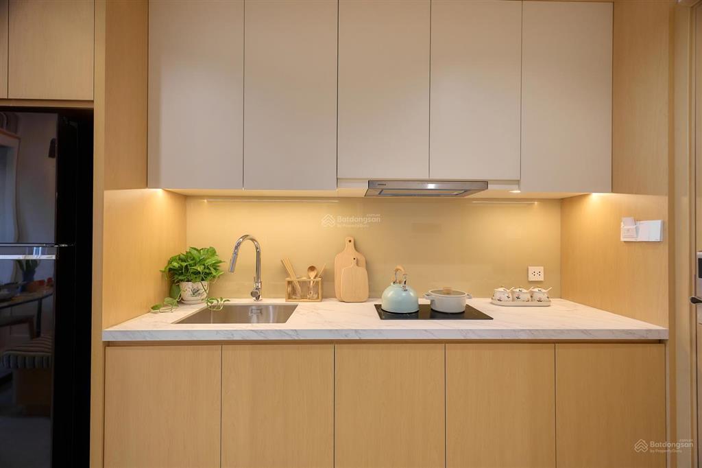 Bán studio+ 30m² dt sử dụng 45m2 tòa p19, hướng nam, view đại lộ hoa, giá 1,2 tỷ