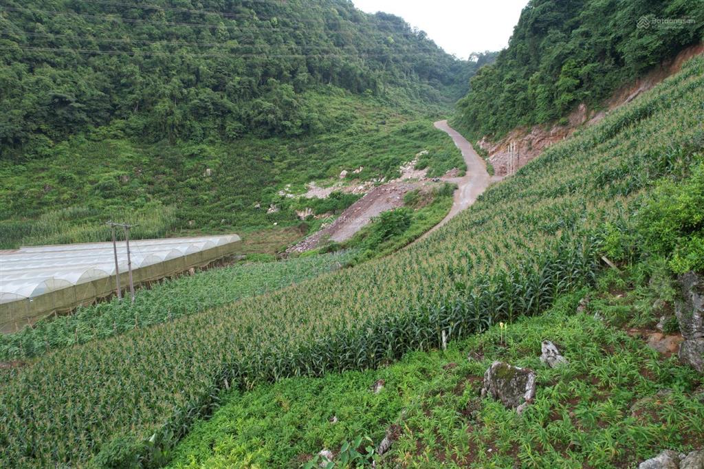 Chính chủ bán nhanh mảnh đất gần mộc châu