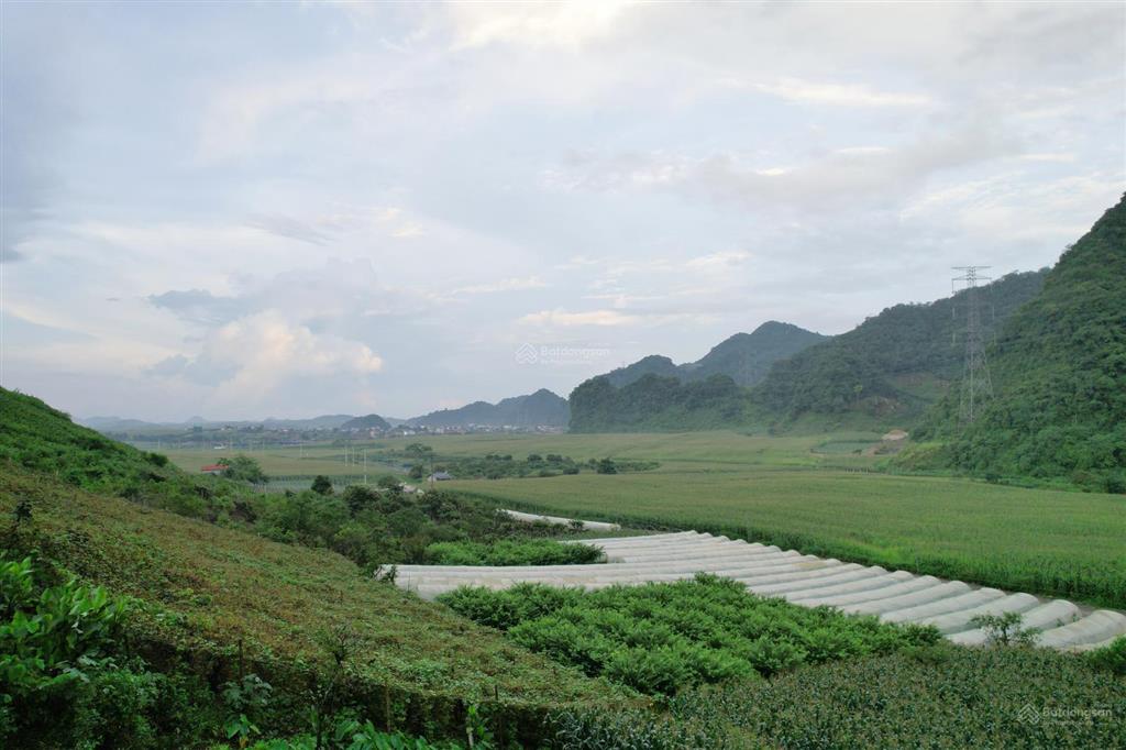 Chính chủ bán nhanh mảnh đất gần mộc châu